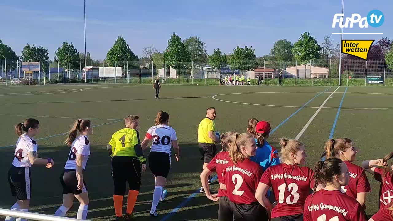 TSV Pfedelbach - Frauen 22/23