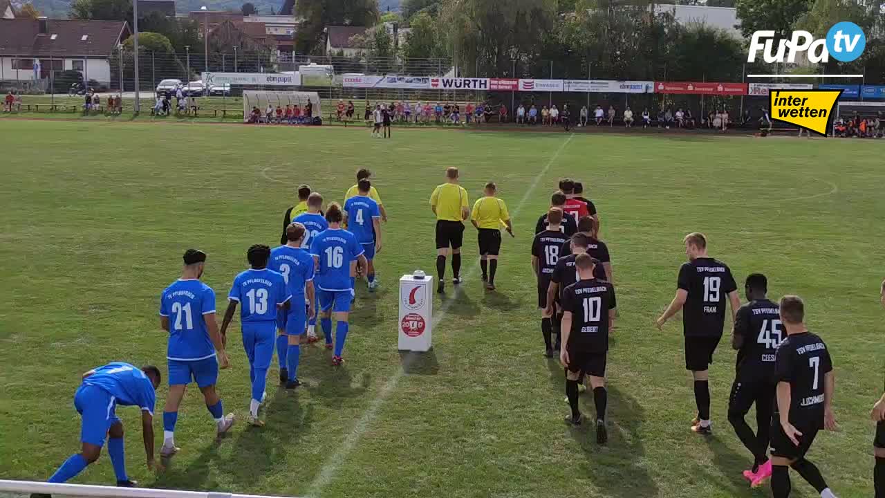TSV Pfedelbach - Herren 23/24