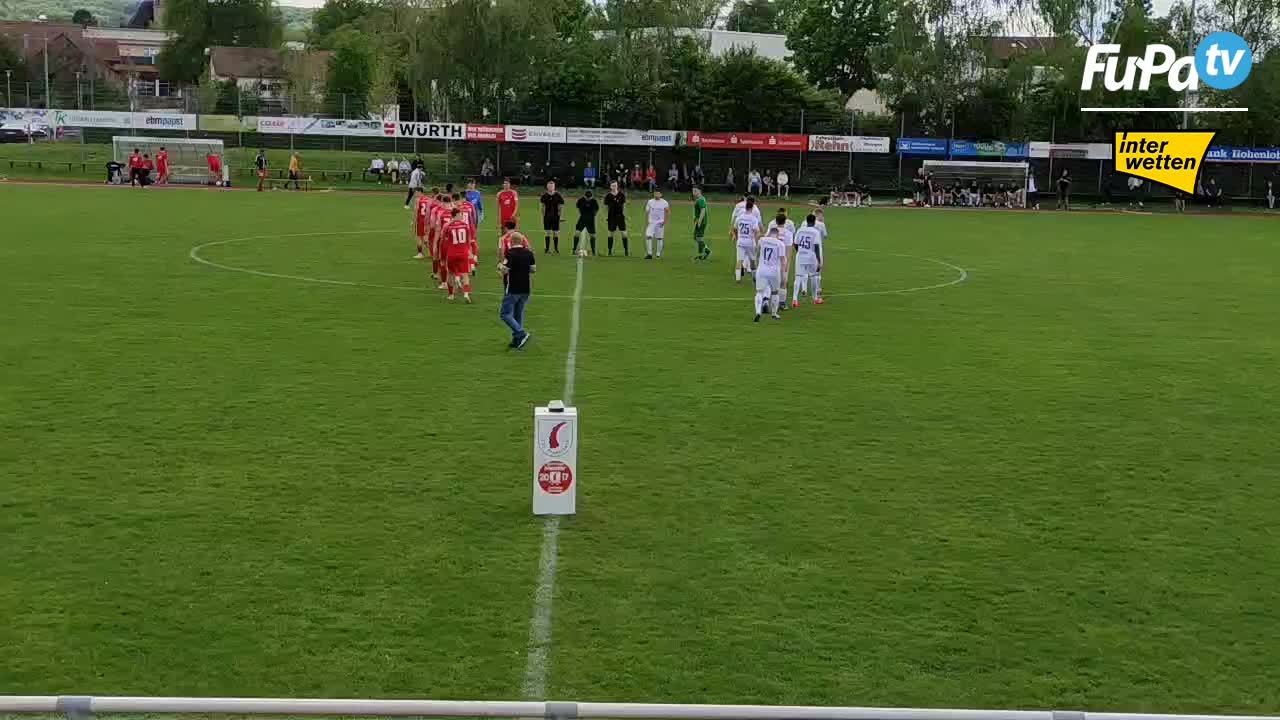 TSV Pfedelbach - Herren 23/24