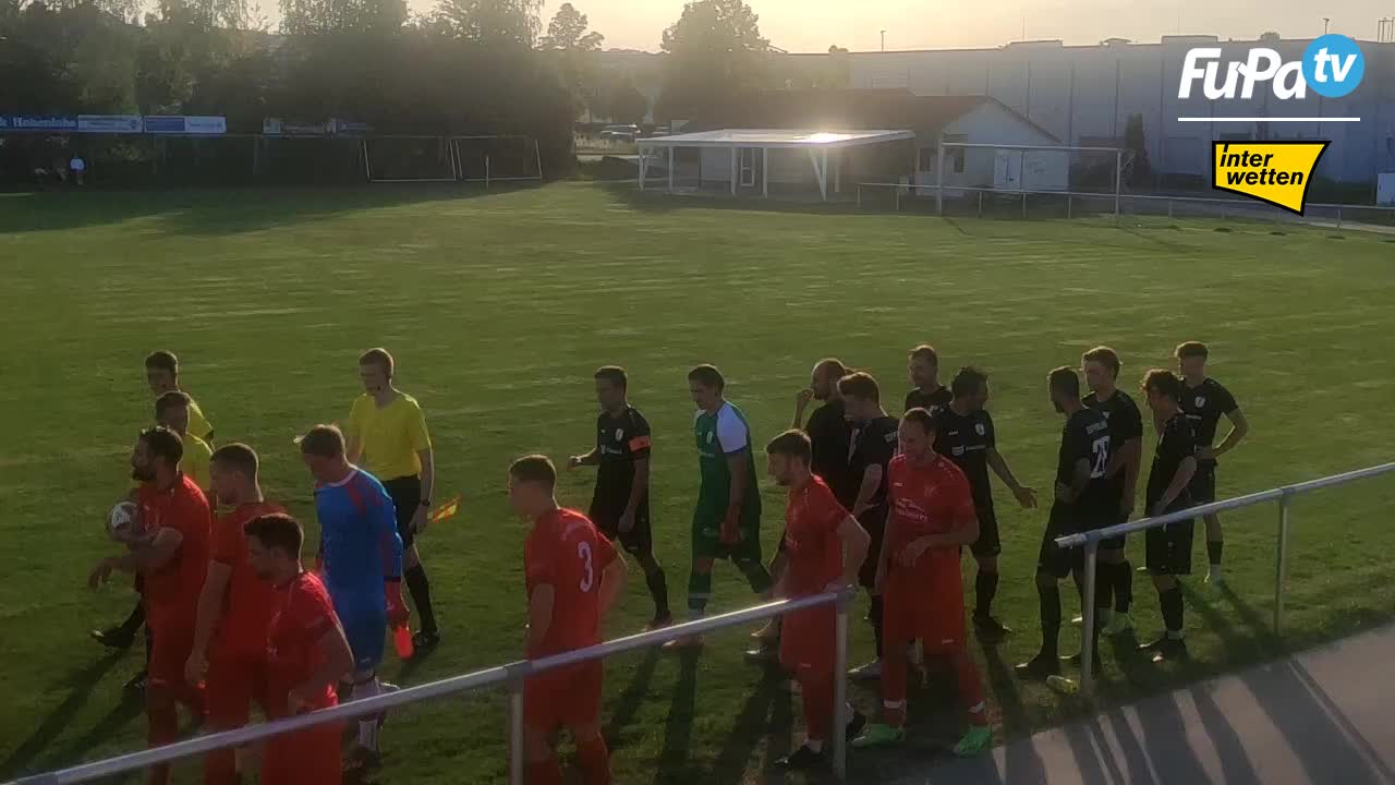 TSV Pfedelbach - Herren 23/24