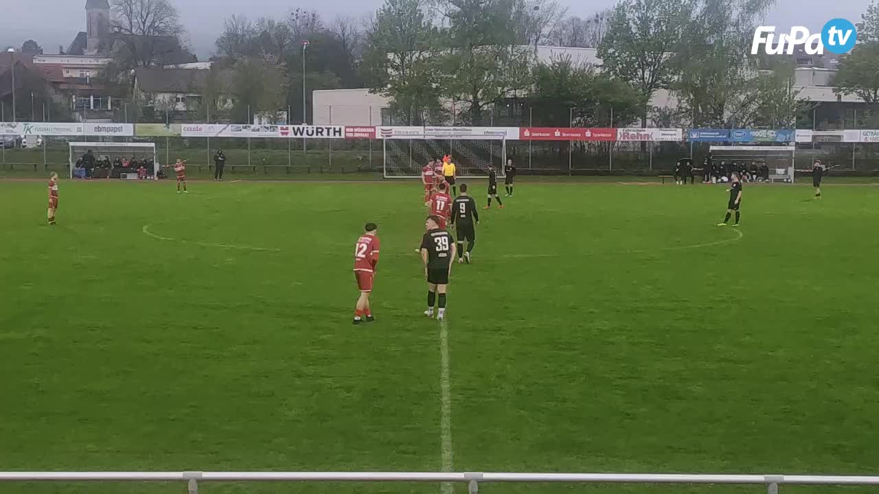 TSV Pfedelbach - Herren 24/25