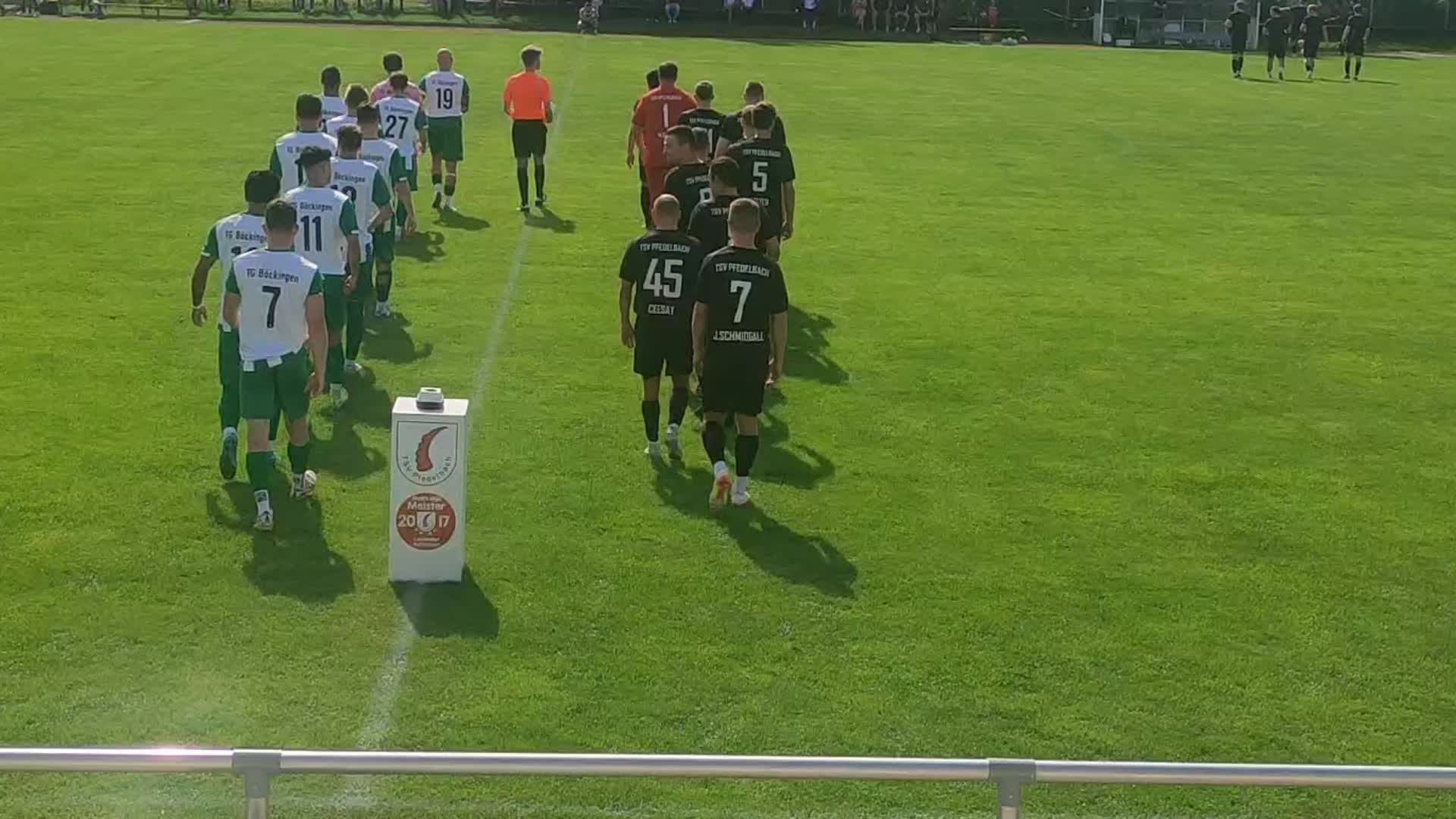 TSV Pfedelbach - Herren 25/26