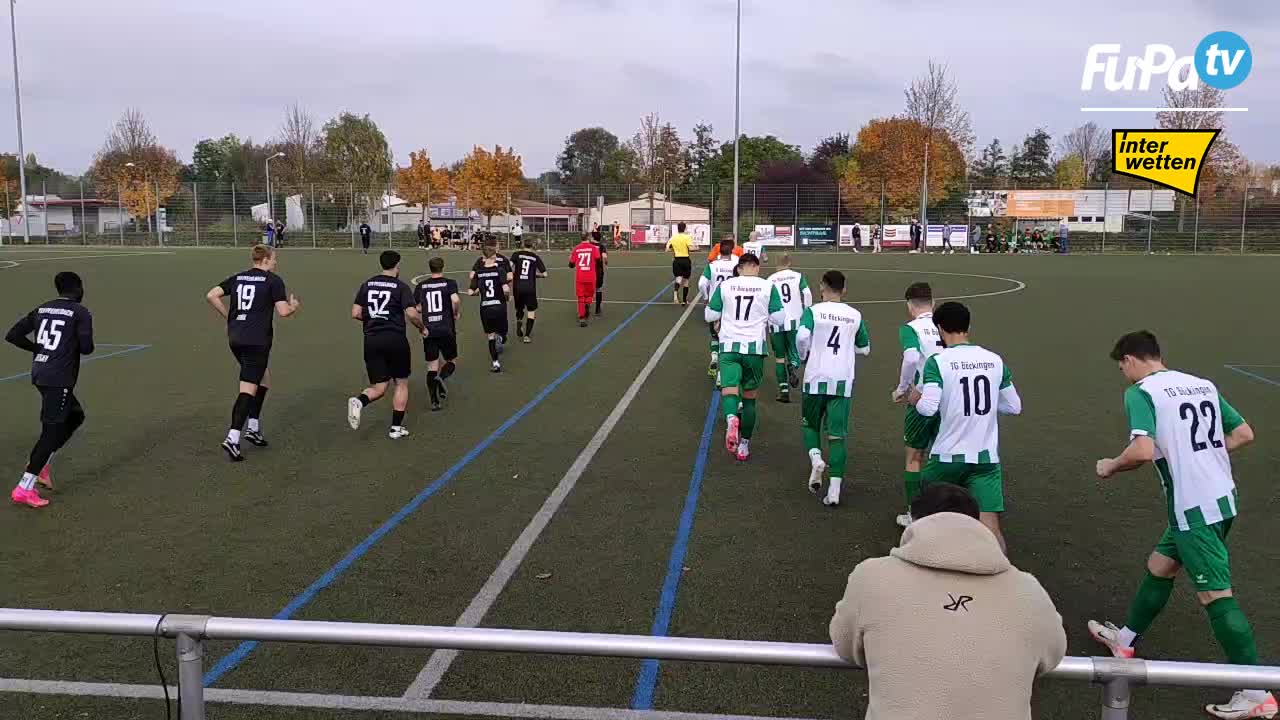 TSV Pfedelbach - Herren 24/25