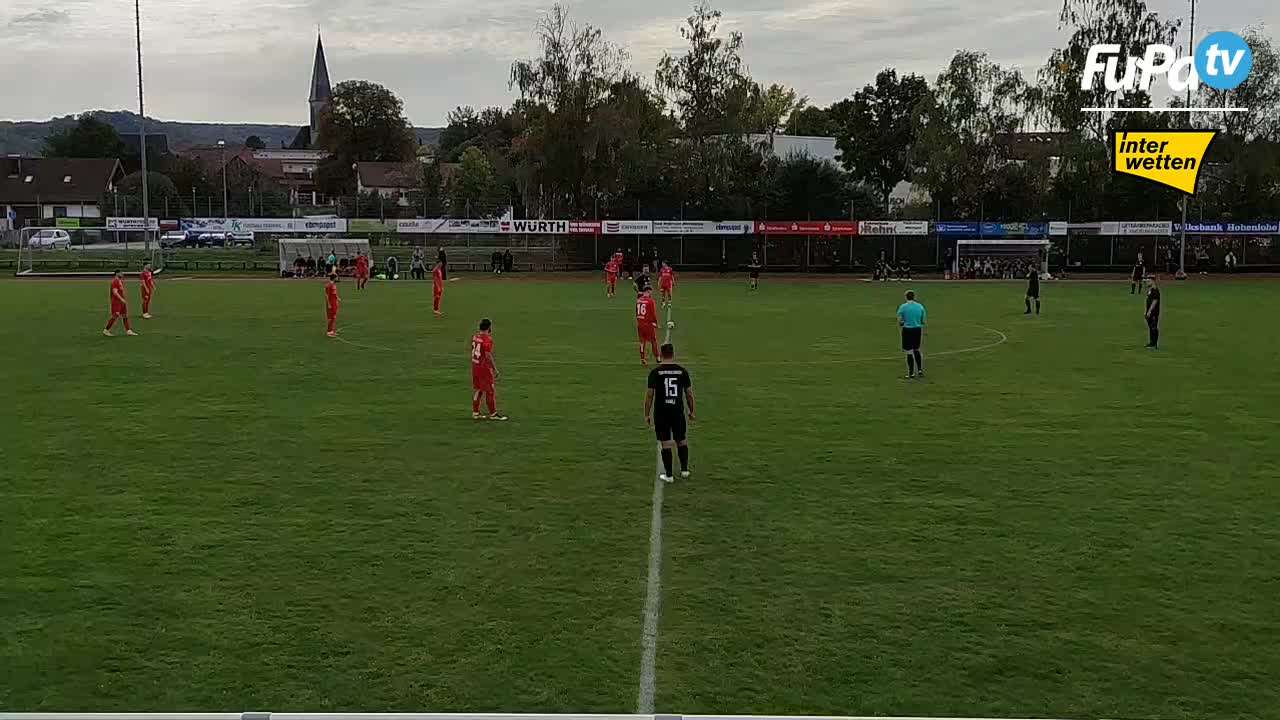TSV Pfedelbach - Herren 23/24