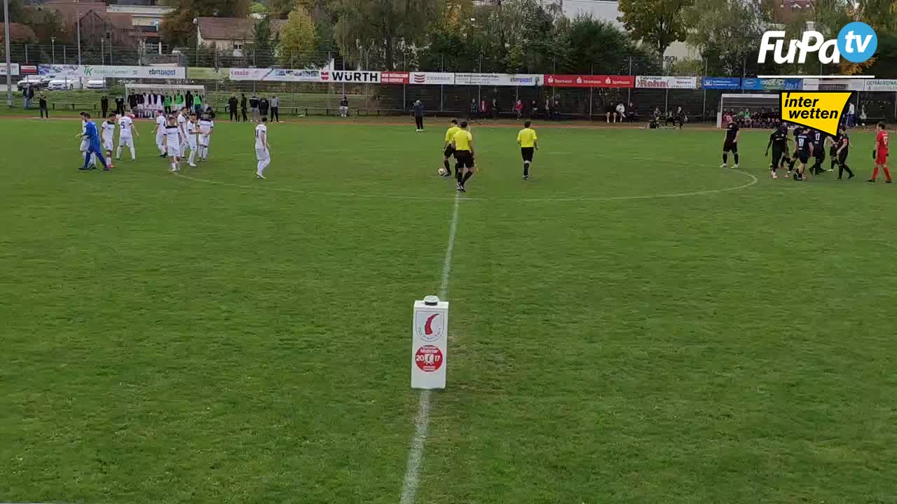 TSV Pfedelbach - Herren 23/24