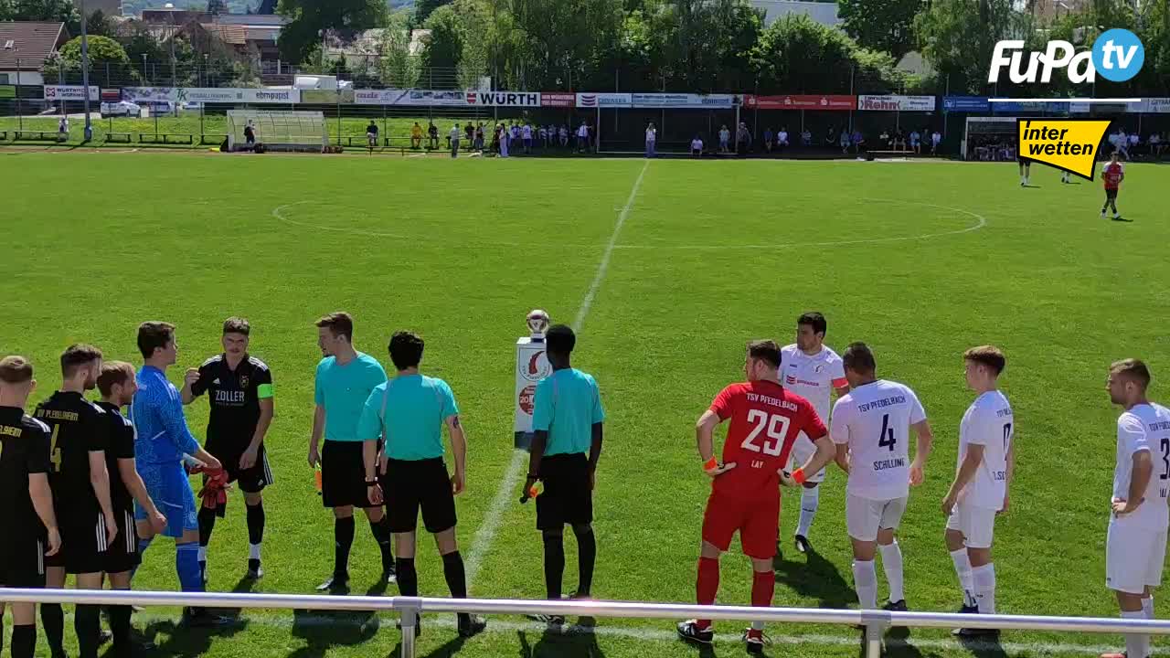 TSV Pfedelbach - Herren 23/24