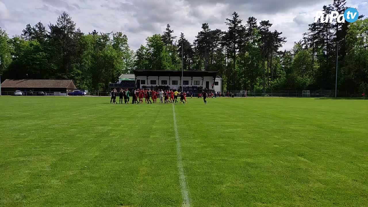 SG Bad Wimpfen - Herren 24/25