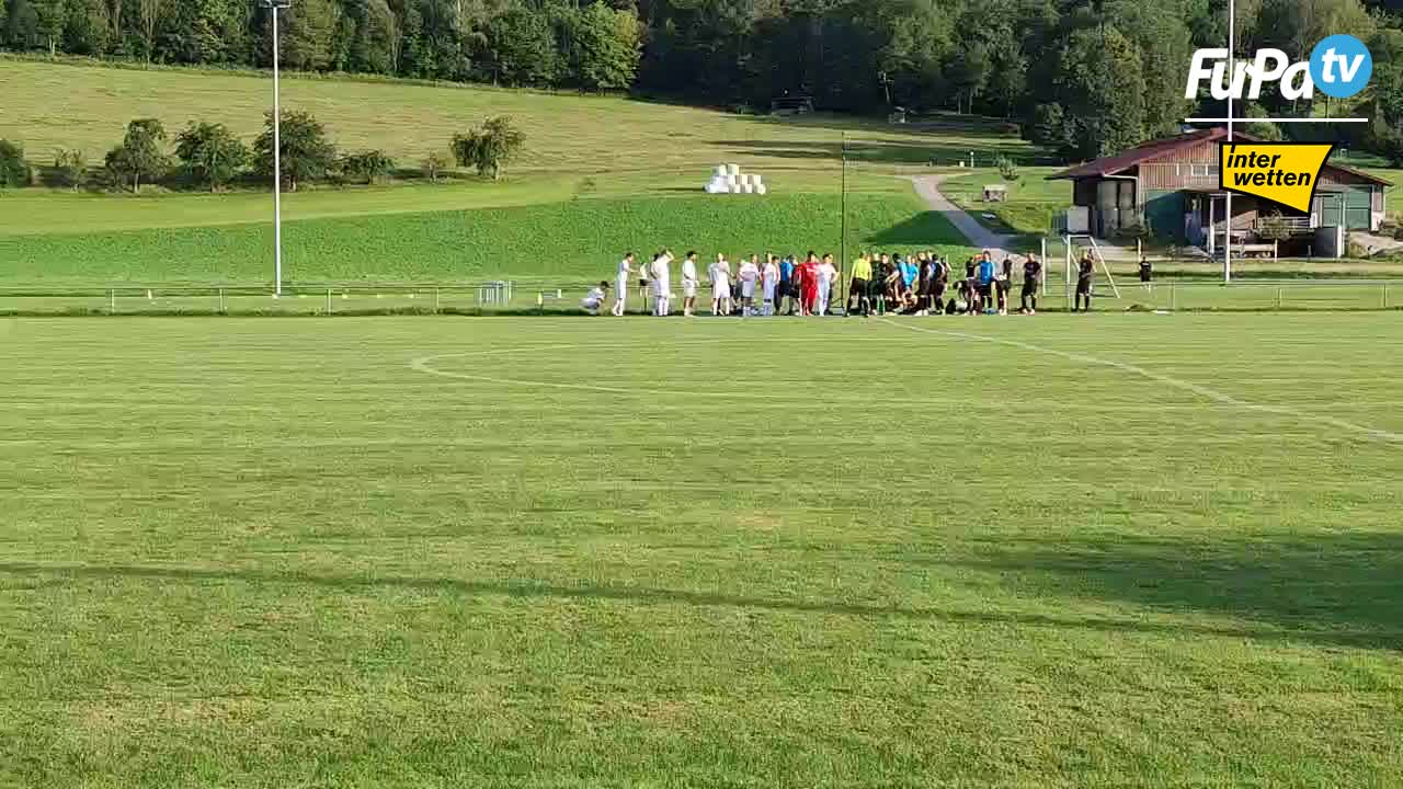 TSV Pfedelbach - Herren 24/25