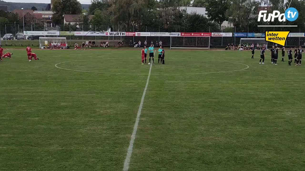 TSV Pfedelbach - Herren 23/24