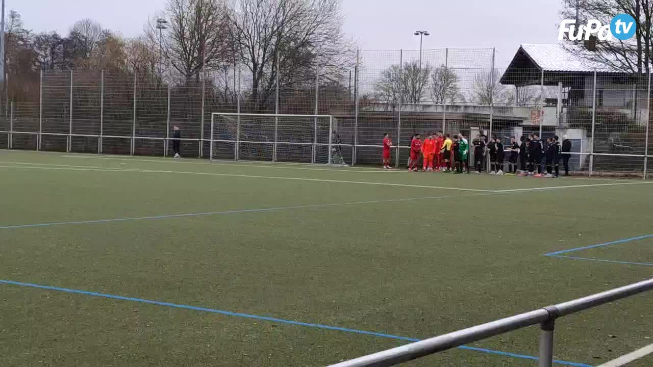 VfL Brackenheim - Herren 24/25