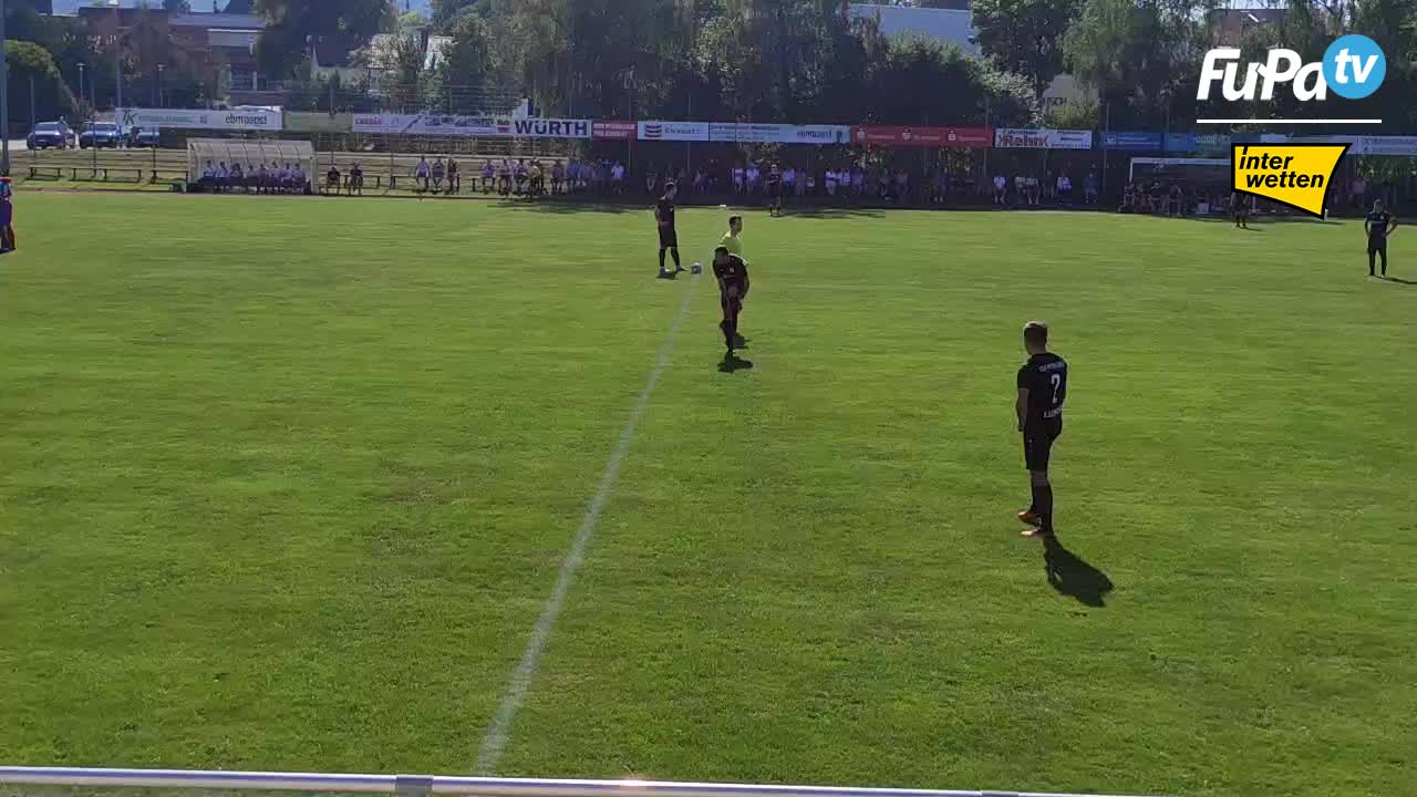 TSV Pfedelbach - Herren 23/24