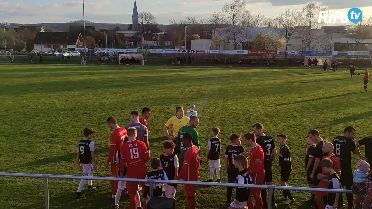 TSV Pfedelbach - Herren 24/25