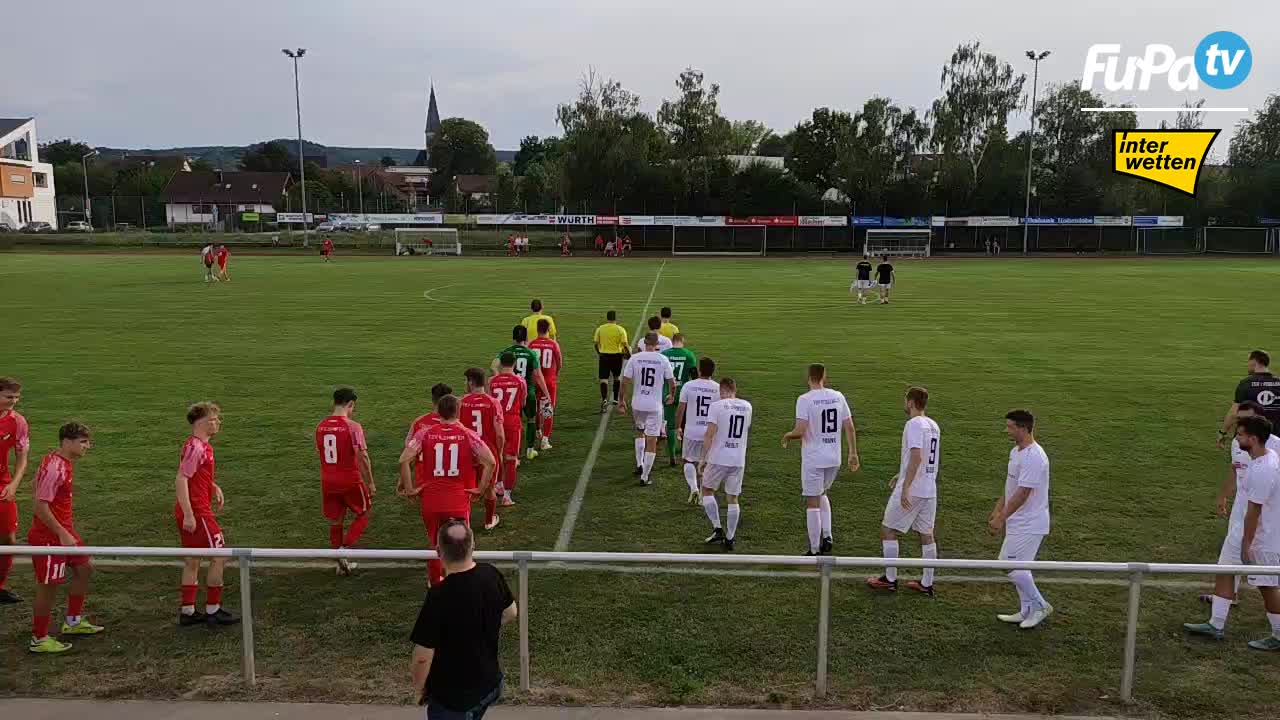 TSV Pfedelbach - Herren 24/25