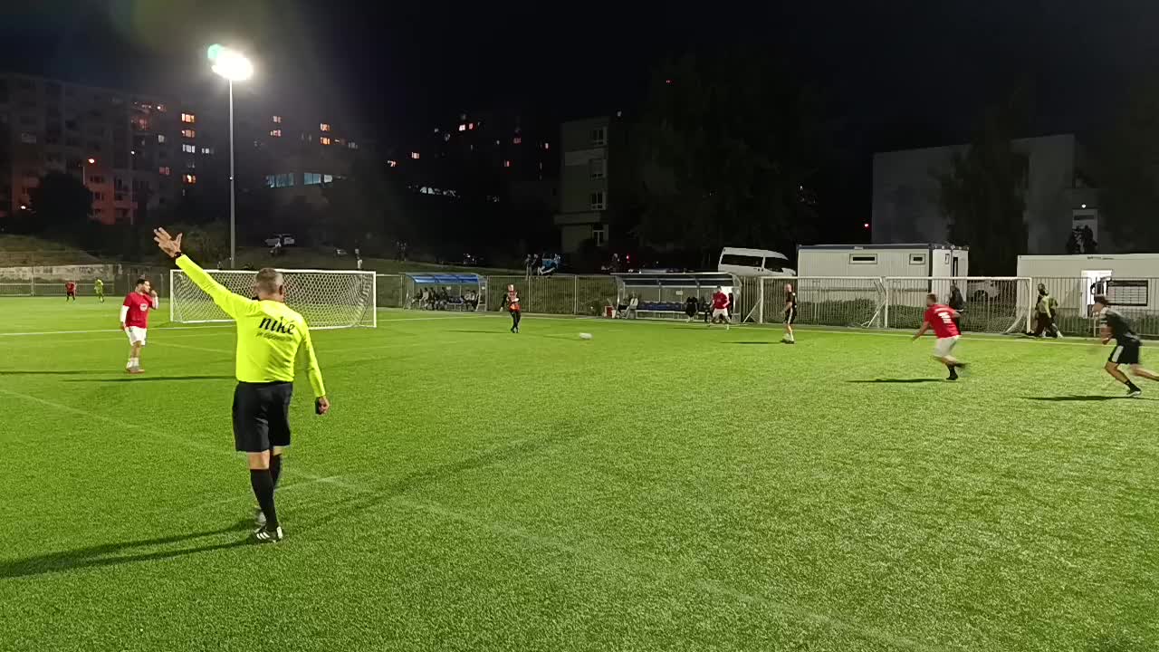 ŽLČOVE KAMENE