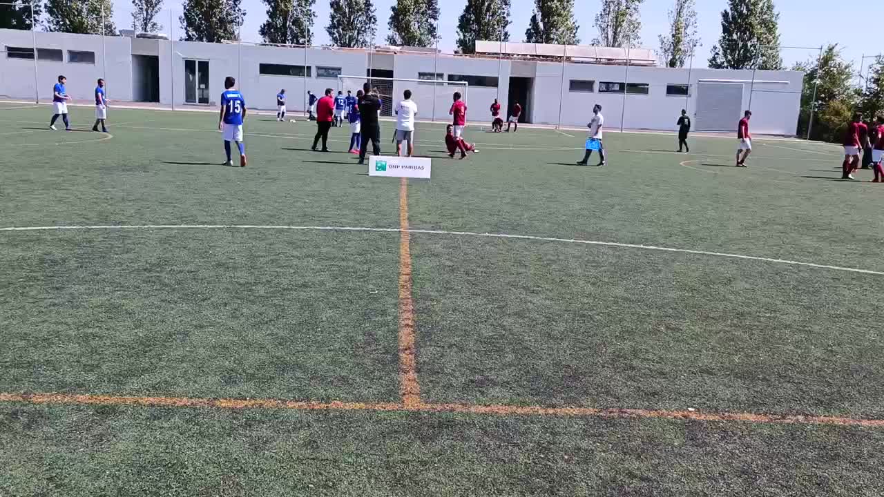 Os Herculanos