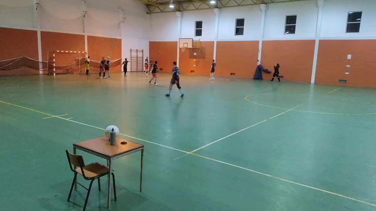 Os Insanos