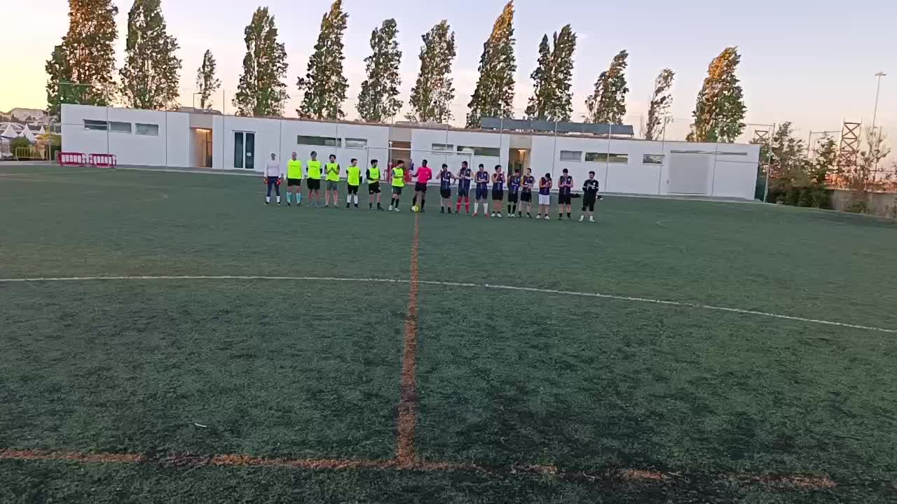 Ficarianos