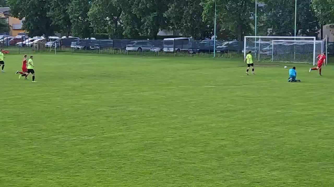 NK ROHO VBO
