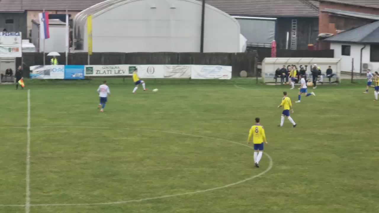 NK Tehnotim Pesnica
