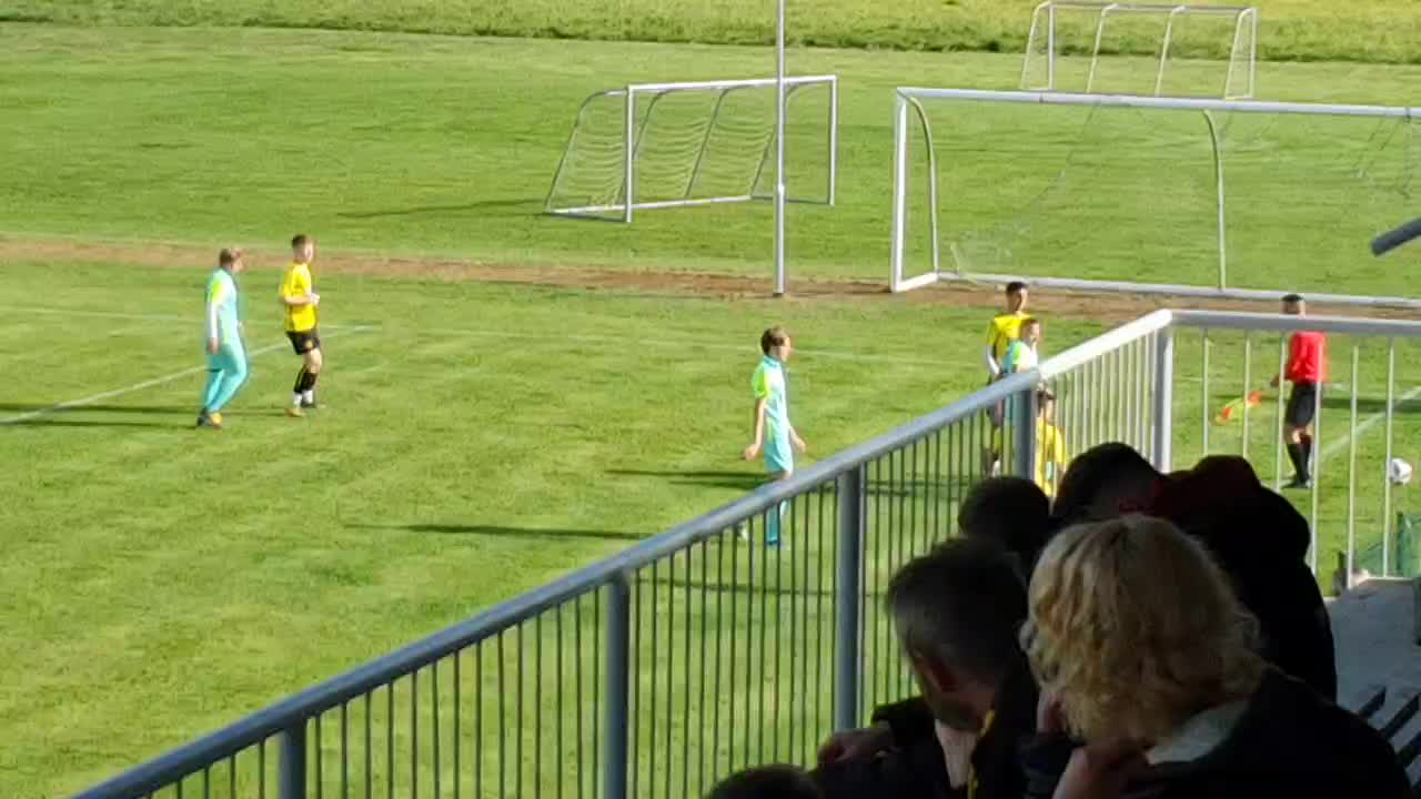 NK Tehnotim Pesnica