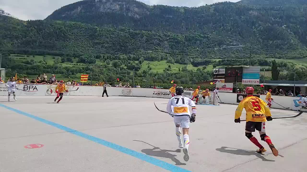 Sierre Lions - NLA