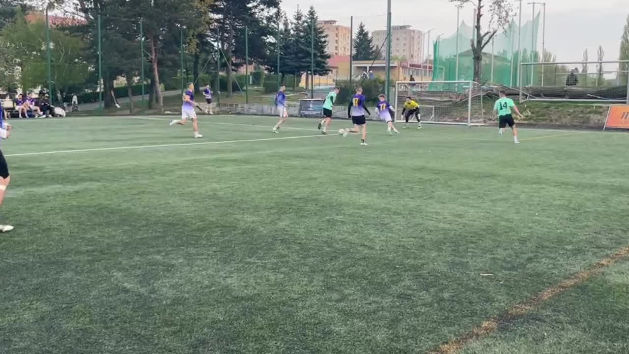 Sťahovanie Bleskovka Bratislava